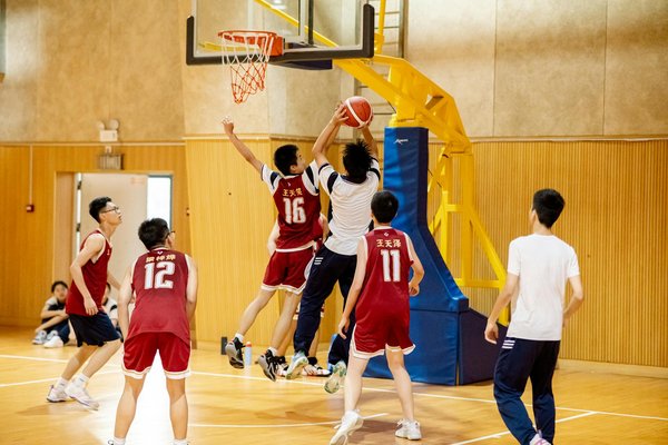 Wat zijn de verschillen tussen mannen- en vrouwenteams in basketbal?